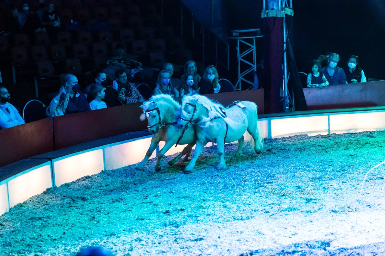 Bild 390 - Zirkus Europa